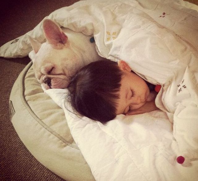 BFF’s: A Boy and His Bull Dog
