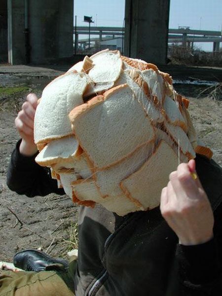 Daily Picdump