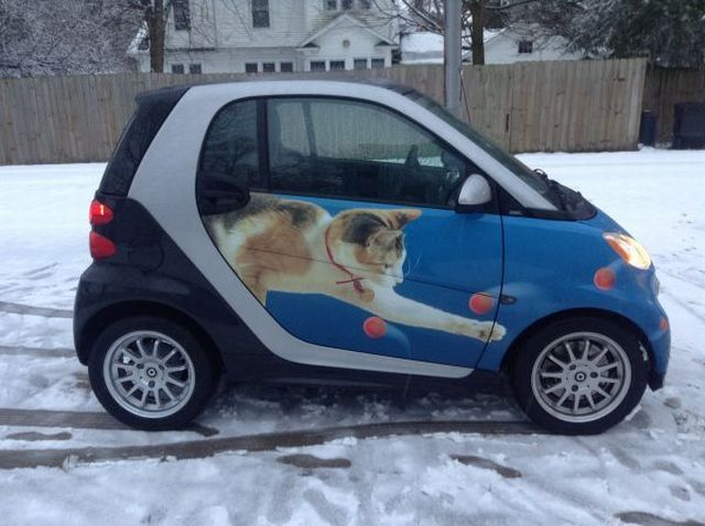 Daily Picdump