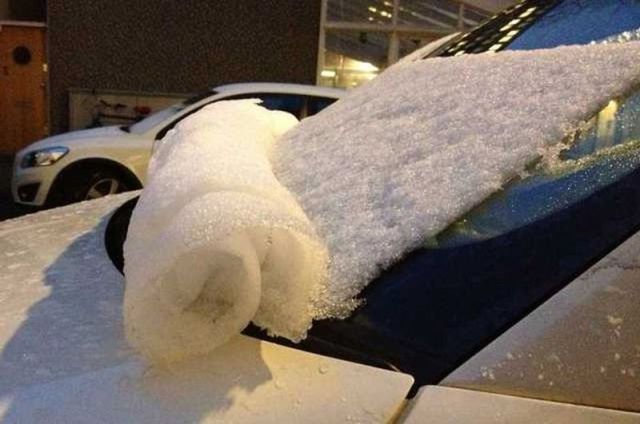 Morning Picdump