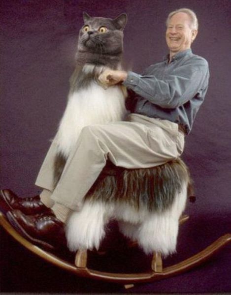 Morning Picdump