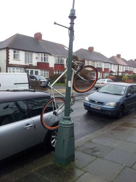 Morning Picdump