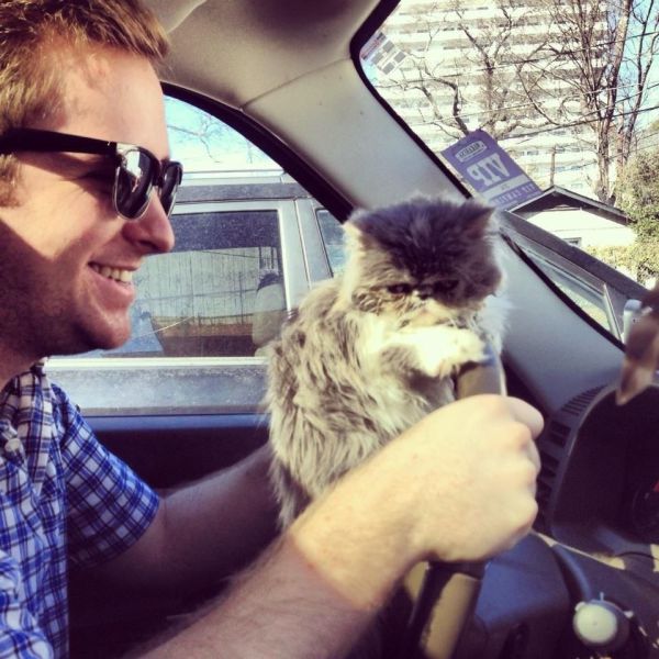 Morning Picdump