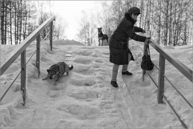Morning Picdump