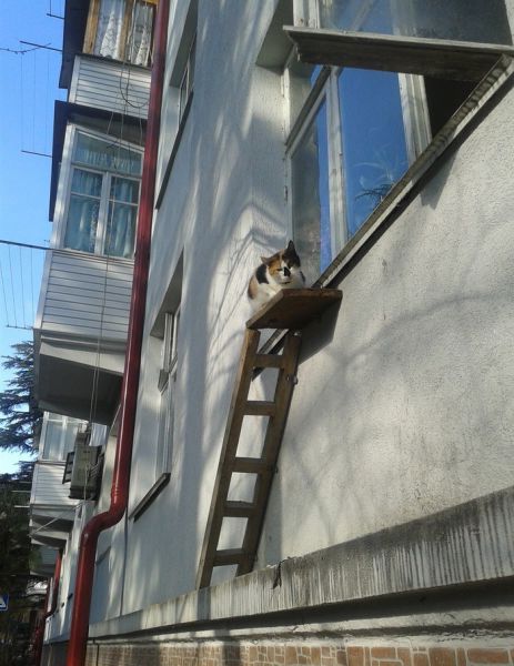 Morning Picdump