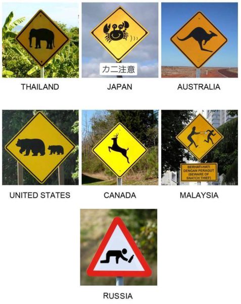 Morning Picdump