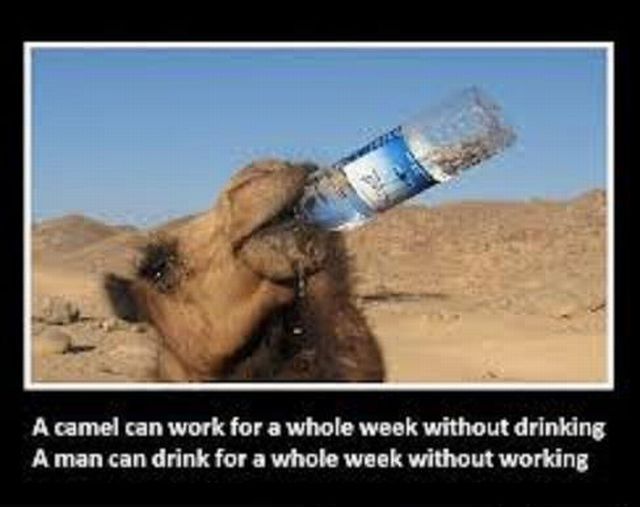 Morning Picdump