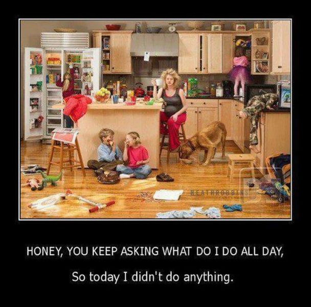 Morning Picdump