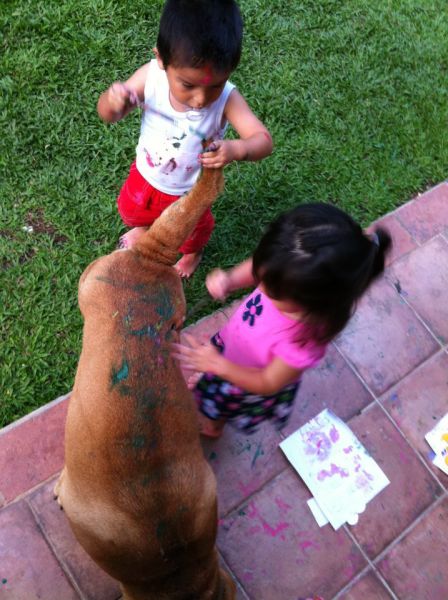 Morning Picdump