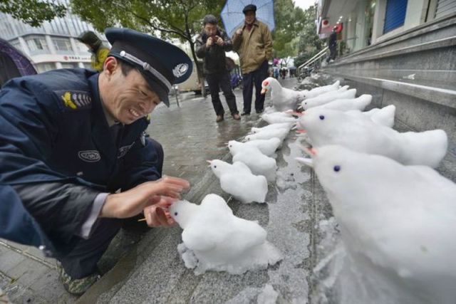 Morning Picdump