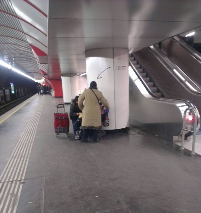 Morning Picdump