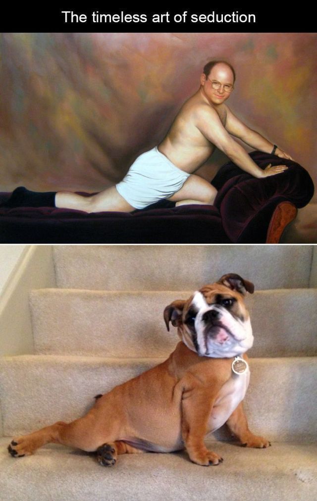 Morning Picdump