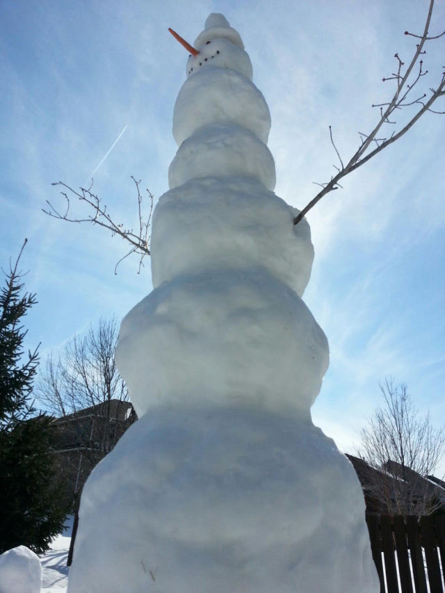 Morning Picdump