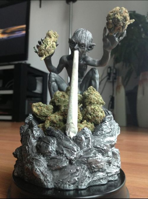 Morning Picdump