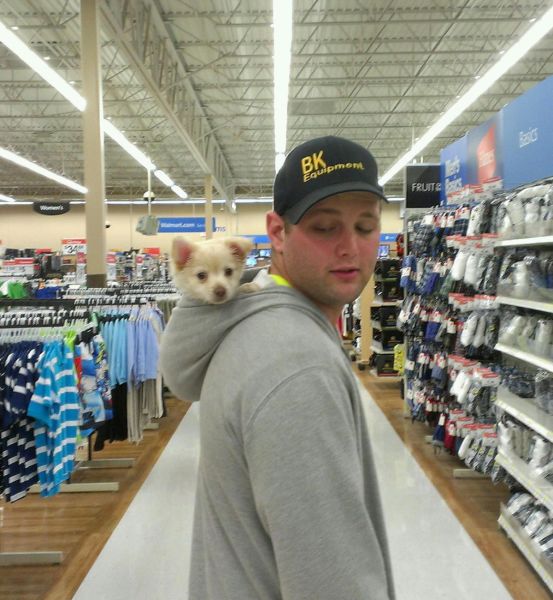 Morning Picdump
