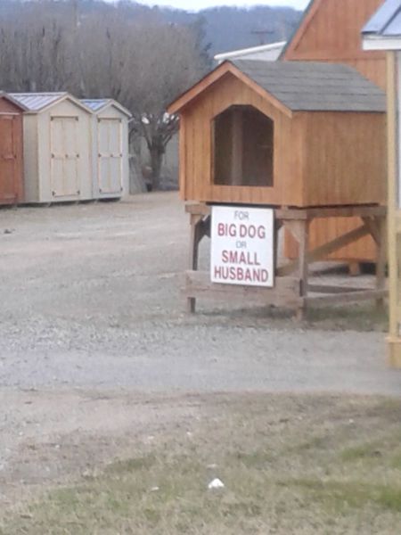 Daily Picdump