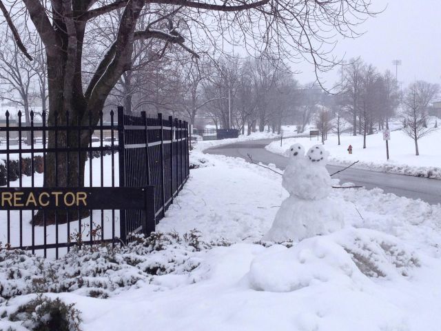 Daily Picdump