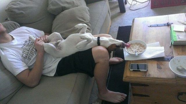 Daily Picdump