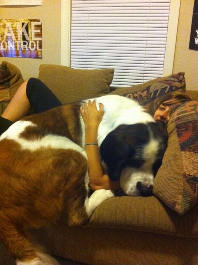 Daily Picdump