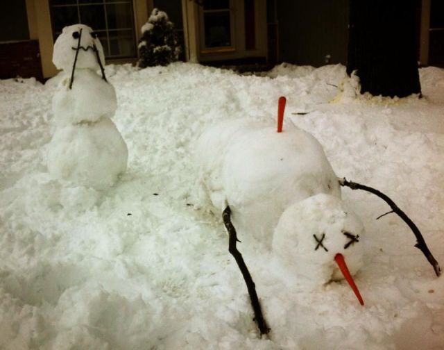 Morning Picdump