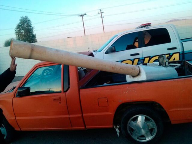 Morning Picdump