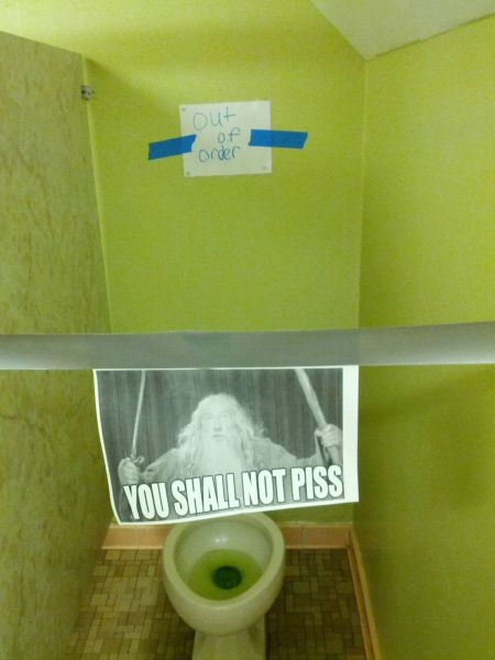 Morning Picdump