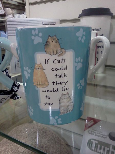 Morning Picdump
