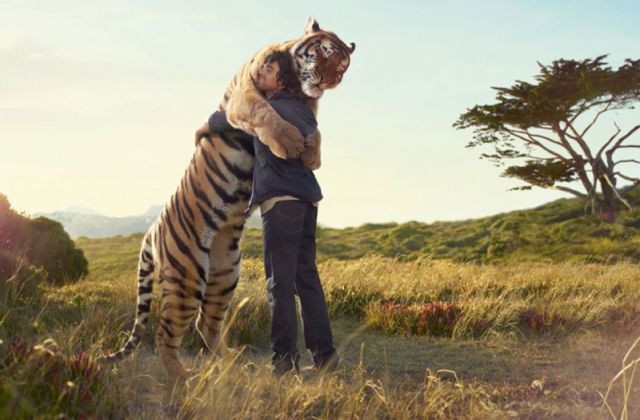 Amazing Photos of Animals Caught in the Act