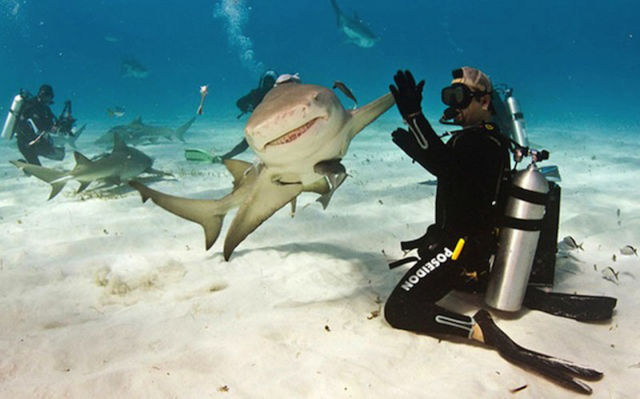 Amazing Photos of Animals Caught in the Act