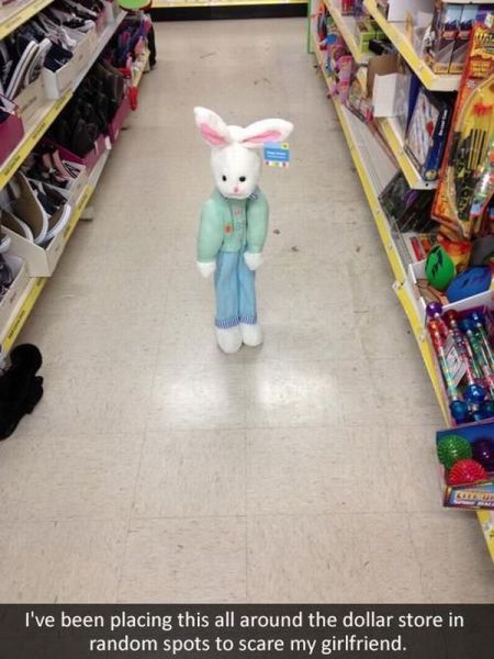 Morning Picdump