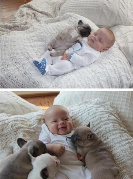 Morning Picdump