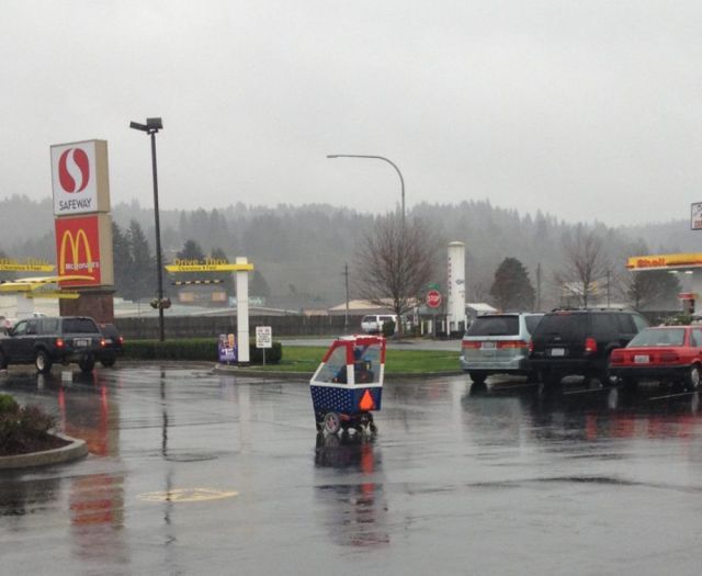 Morning Picdump