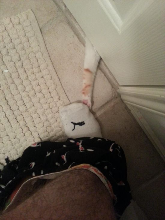 Morning Picdump