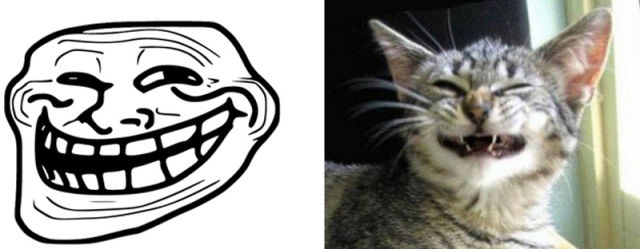 the_real_cats_behind_the_cartoon_rage_faces_640_14.jpg