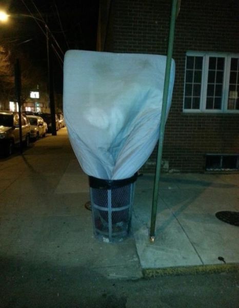 Morning Picdump