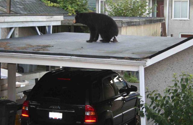 Morning Picdump