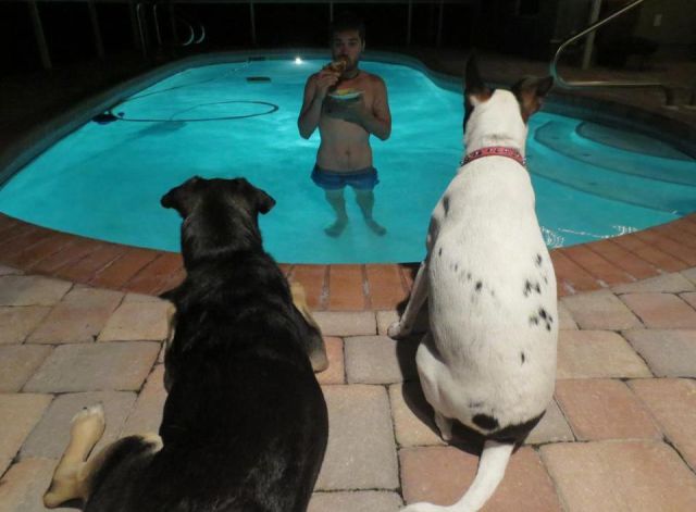 Daily Picdump