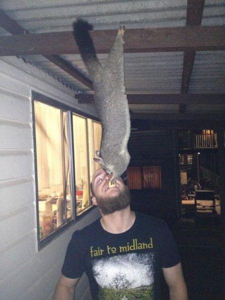 Daily Picdump