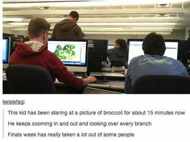 Morning Picdump