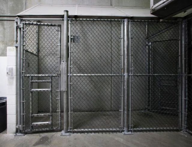 A Look Inside the Walls of Guantanamo Bay
