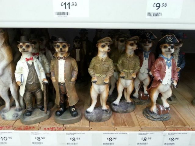 Morning Picdump