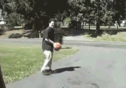 Daily Gifdump