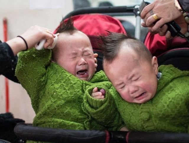 Morning Picdump
