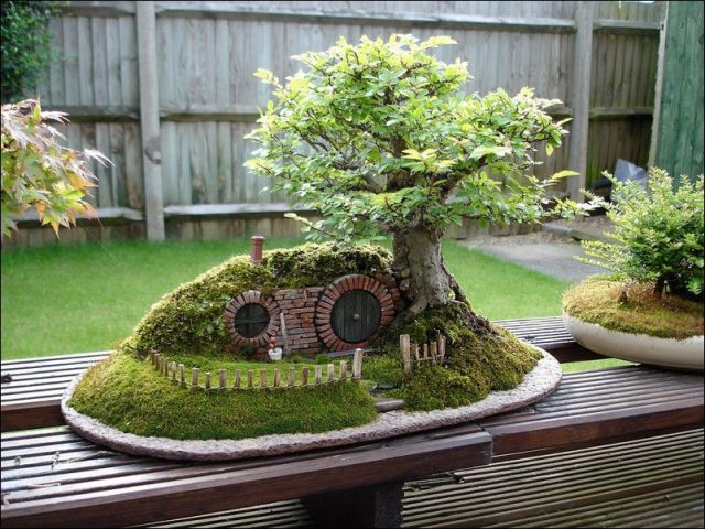 A Very Sweet Bonsai Hobbit House