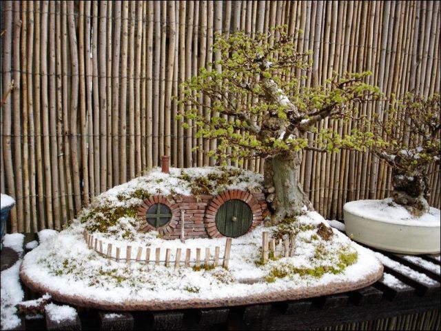 A Very Sweet Bonsai Hobbit House