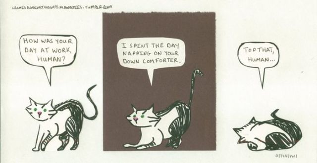 Comic Entertainment Featuring Cats