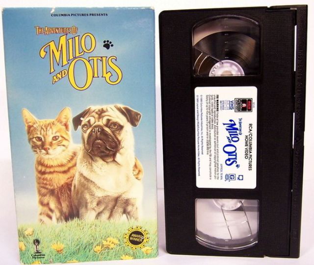 Do You Remember These Great Videos from Childhood?