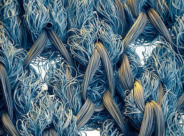 Ordinary Everyday Items Look So Cool under a Microscope