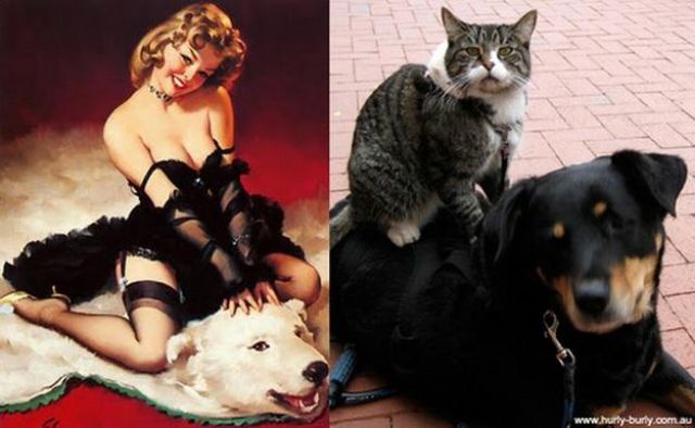 Cats Do Pin-Up Posters PURR-fectly