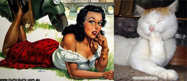 Cats Do Pin-Up Posters PURR-fectly